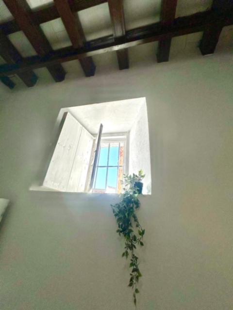 Gatu Casa Solera, Un Lugar Unico, "Preferente Para Mayores De 25 Anos Y Familias " El Puerto de Santa María Eksteriør billede